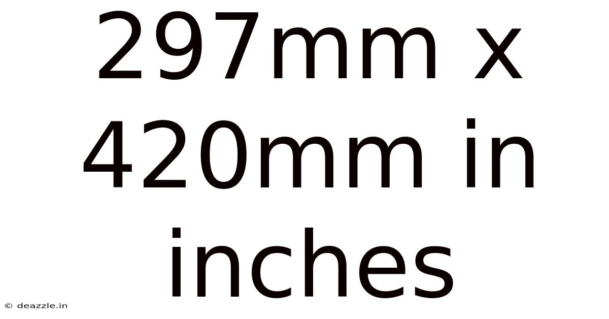 297mm X 420mm In Inches