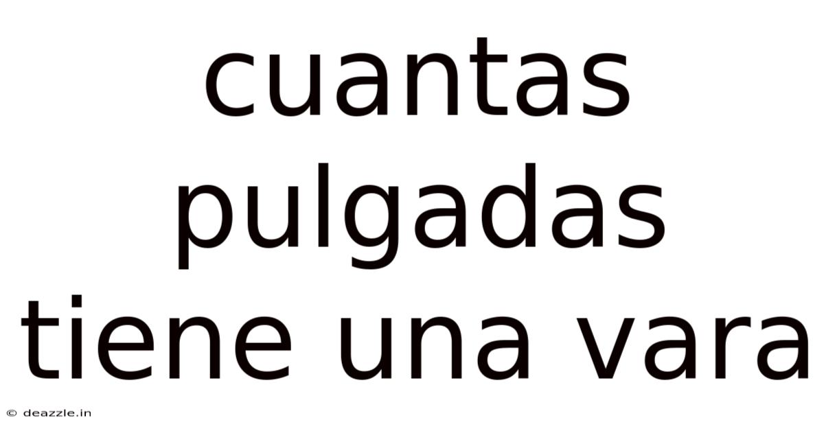 Cuantas Pulgadas Tiene Una Vara