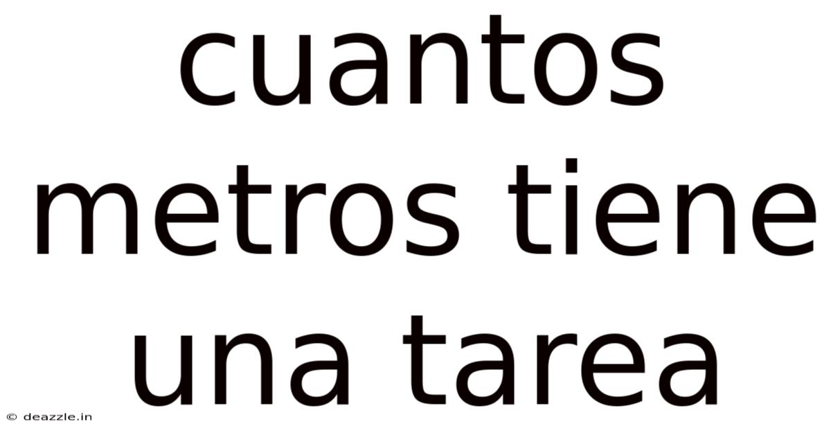 Cuantos Metros Tiene Una Tarea