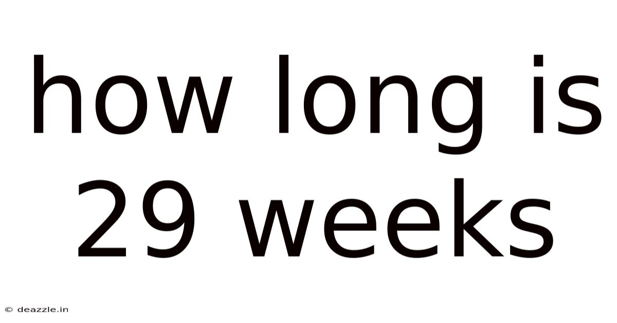 How Long Is 29 Weeks